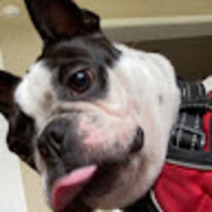 Meet your Posher, Morgan